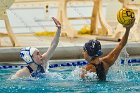 WWPolo @ CC  Wheaton College Women’s Water Polo at Connecticut College. - Photo By: KEITH NORDSTROM : Wheaton, water polo